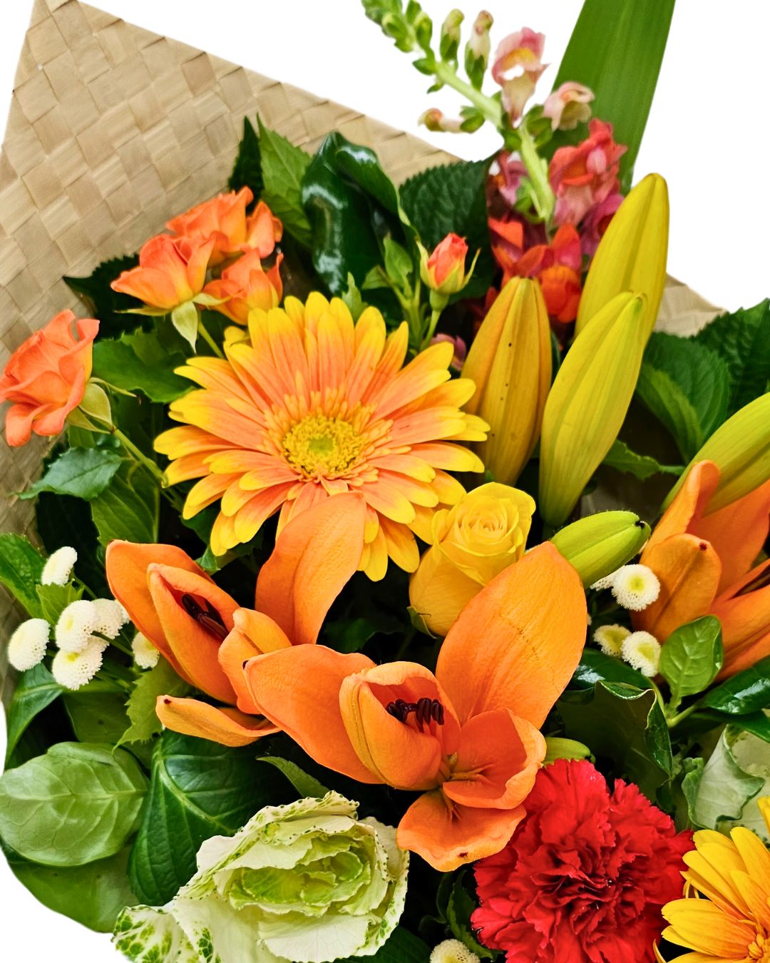 Wrapped in Aroha - Brights