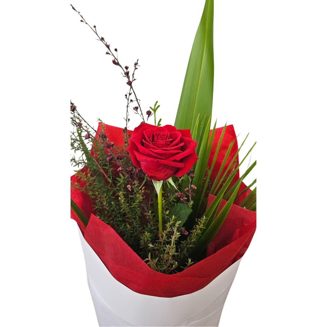 ONE LOVE Red Rose